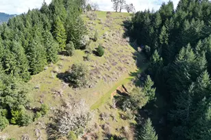 221 Foster Ln, Roseburg, OR 97470 - Photo 39