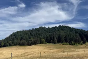 221 Foster Ln, Roseburg, OR 97470 - Photo 39