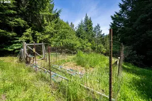 99104 Lone Pine Ln, Myrtle Point, OR 97458 - Photo 9