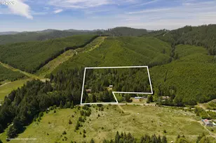 99104 Lone Pine Ln, Myrtle Point, OR 97458 - Photo 45