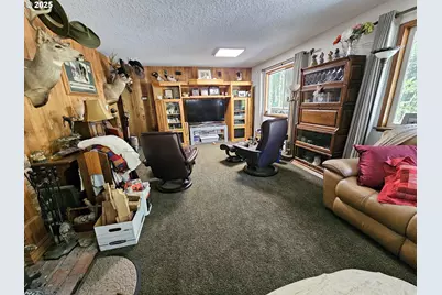 3463 Briarwood Rd, Umpqua, OR 97486 - Photo 3