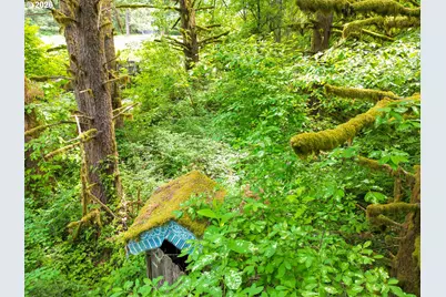 0 Parcel 257387000, La Center, WA 98629 - Photo 11