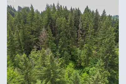 0 Parcel 257387000, La Center, WA 98629 - Photo 21