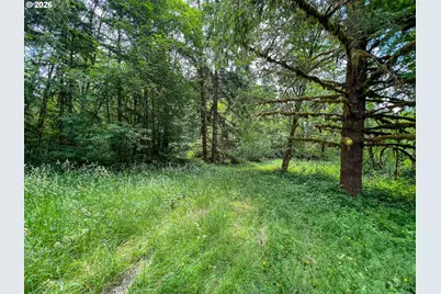 0 Parcel 257387000, La Center, WA 98629 - Photo 7