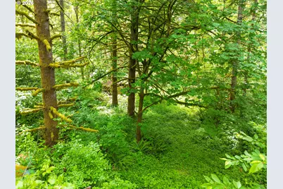 0 Parcel 257387000, La Center, WA 98629 - Photo 5