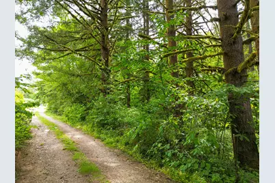 0 Parcel 257387000, La Center, WA 98629 - Photo 13