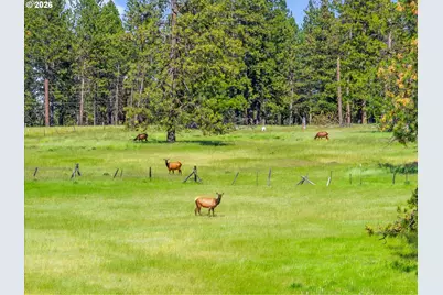 76545 Palmer Junction Rd, Elgin, OR 97827 - Photo 25