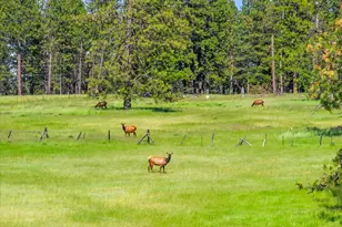 76545 Palmer Junction Rd, Elgin, OR 97827 - Photo 25