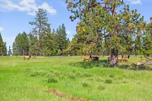 76545 Palmer Junction Rd, Elgin, OR 97827 - Photo 27