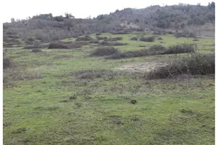 161 Vintage Ln, Myrtle Creek, OR 97457 - Photo 19