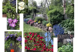 9685 SW Riverwood Ln, Tigard, OR 97224 - Photo 29