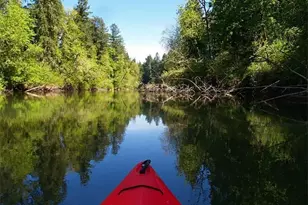 9685 SW Riverwood Ln, Tigard, OR 97224 - Photo 43