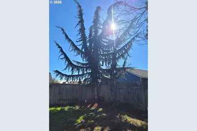 4548 Cambon St, Eugene, OR 97402 - Photo 23