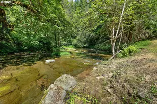 10024 Hubbard Creek Rd, Umpqua, OR 97486 - Photo 41