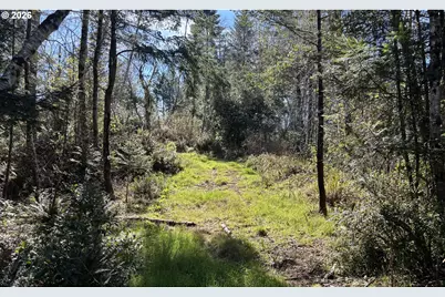 96475 Cape Ferrelo Rd, Brookings, OR 97415 - Photo 27