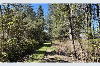 96475 Cape Ferrelo Rd, Brookings, OR 97415 - Photo 3