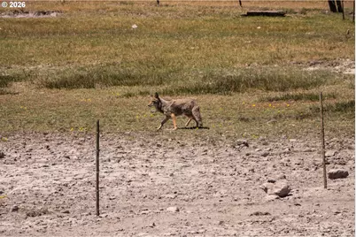 1950 Silver Lake Rd, Chiloquin, OR 97624 - Photo 33