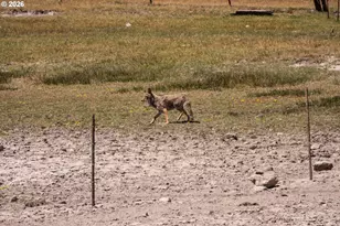 1950 Silver Lake Rd, Chiloquin, OR 97624 - Photo 33