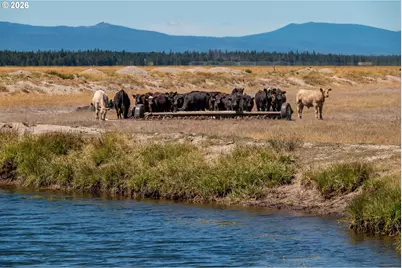 1950 Silver Lake Rd, Chiloquin, OR 97624 - Photo 13