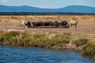 1950 Silver Lake Rd, Chiloquin, OR 97624 - Photo 13