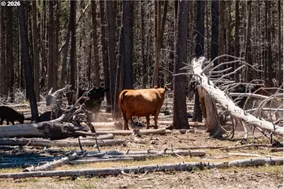 1950 Silver Lake Rd, Chiloquin, OR 97624 - Photo 17