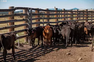 1950 Silver Lake Rd, Chiloquin, OR 97624 - Photo 31