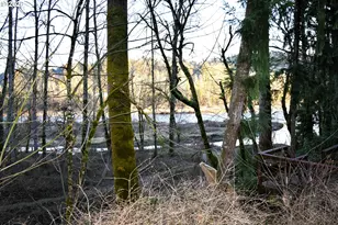 16368 SE 135th Ave, Clackamas, OR 97015 - Photo 35