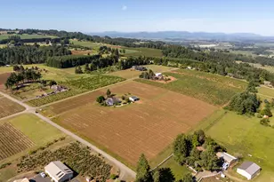 20700 SE Cherry Blossom Ln, Amity, OR 97101 - Photo 43