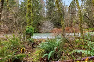 78506 Hwy 53, Seaside, OR 97138 - Photo 11