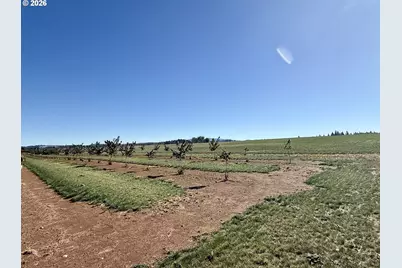 41404 Kingston Jordan Rd SE, Stayton, OR 97383 - Photo 11