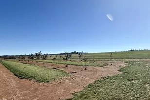 41404 Kingston Jordan Rd SE, Stayton, OR 97383 - Photo 11