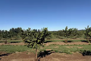 41404 Kingston Jordan Rd SE, Stayton, OR 97383 - Photo 9