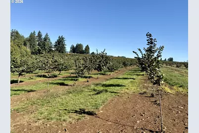 41404 Kingston Jordan Rd SE, Stayton, OR 97383 - Photo 13