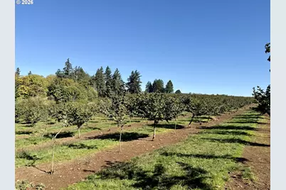 41404 Kingston Jordan Rd SE, Stayton, OR 97383 - Photo 15