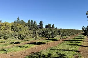 41404 Kingston Jordan Rd SE, Stayton, OR 97383 - Photo 15