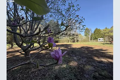 1300 Hampton Rd, Brookings, OR 97415 - Photo 5