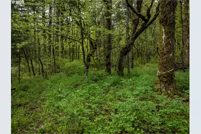 455 Country Club Rd, Hood River, OR 97031 - Photo 21