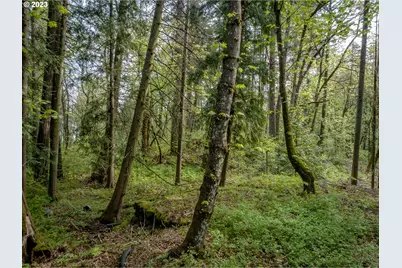 455 Country Club Rd, Hood River, OR 97031 - Photo 13