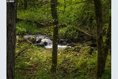 455 Country Club Rd, Hood River, OR 97031 - Photo 9