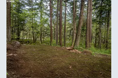 455 Country Club Rd, Hood River, OR 97031 - Photo 25
