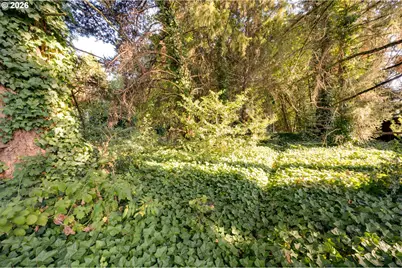 0 NE 49th St, Vancouver, WA 98663 - Photo 7