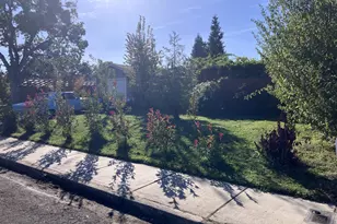 216 Jeanette Ave, Medford, OR 97501 - Photo 19