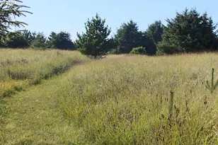 11303 Pacific Way, Long Beach, WA 98631 - Photo 29