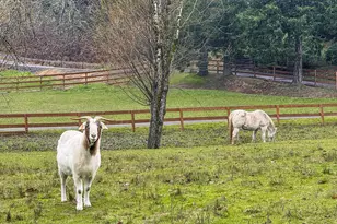 17069 S Bradley Rd, Oregon City, OR 97045 - Photo 29