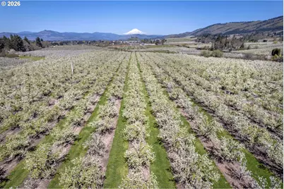 3316 Thomsen Rd, Hood River, OR 97031 - Photo 5