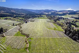 3316 Thomsen Rd, Hood River, OR 97031 - Photo 41
