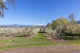 3316 Thomsen Rd, Hood River, OR 97031 - Photo 37