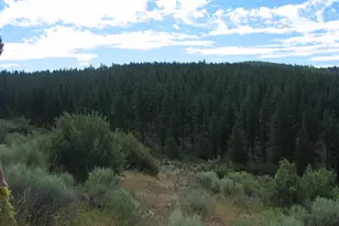 3355 Kircher Rd, Chiloquin, OR 97624 - Photo 11