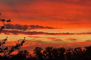 5250 S Landing Dr, Portland, OR 97239 - Photo 33