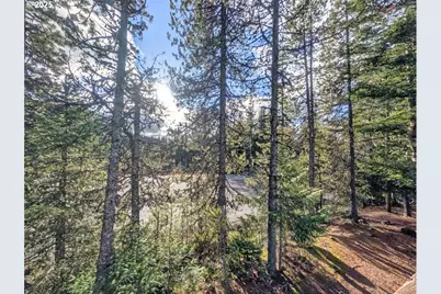 89255 E Government Camp Loop, Government Camp, OR 97028 - Photo 21